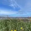 Martine Laporte - @martine.laporte51 - TikTok