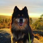 Martin aka Martinlapp - @lappenmartin - Instagram