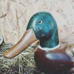 Martin Lapp - @martin_lapp - Instagram