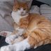 Martine Lapp - Facebook