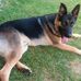 Martin Lazo - Facebook