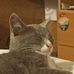Martin Lerman Suzarte - Facebook