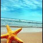 @martin_light - Instagram