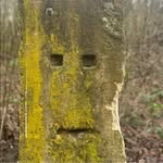 Martin Lightfoot - @martin.lightfoot - Instagram