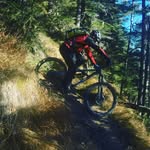 Martin Lipp - @lappmarkus - Instagram