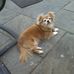 Martin Loftus - Facebook