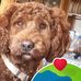 Martin Loftus - Facebook