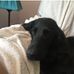Martin Lydon - Facebook