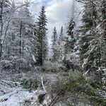 Martin Mallet - @malletdm9 - Instagram