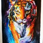 Martin Mansfield - @martinmansfield4 - Instagram