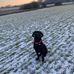 Martin McCurdy - Facebook