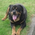 Martin McElroy - @martin.mcelroy.39 - Instagram