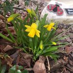 Laura Martin McKee - @laura.m.mckee.5 - Instagram