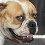 martin - @martin_mcrae1 - Instagram