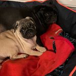 Martin Mears - @martinmears74 - Instagram