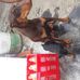 Martin Mena - Facebook