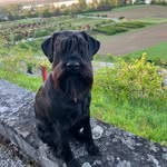 Martin Messner - @messner0404 - Instagram