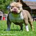 Martin Mims - Facebook
