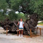 Martin Molnár - @_martin.molnar_ - Instagram