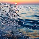 Martin Moskov - @martin_moskov - Instagram