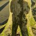 Martin Mc Nally - Facebook