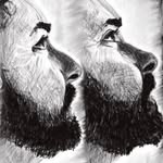 MARTIN MCNALLY - @martin_mcnally_ - Instagram