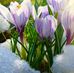 Martina Nemeth - Facebook