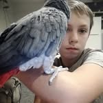 Martin Neubert - @martin.neubert.986 - Instagram