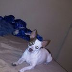 martin nevarez - @martin102662 - Instagram