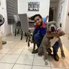 Martin Parra Espinoz - @martinparraespino - TikTok