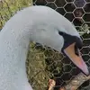 jamie_perdue_martin - @jamie_perdue_martin218 - TikTok