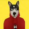 martinsperdue - @martins.perdue - TikTok