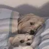 MARTIN - @martin.perrin2.0 - TikTok