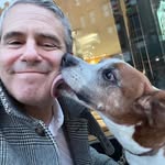 Martin Perrin - @martinperrin99 - Instagram