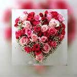 Martin Perrin - @martin.perrin47 - Instagram