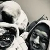 Martin Petrie - @martinpetrie - TikTok