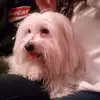 petri martin - @petri.martin7 - TikTok