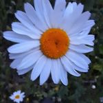 Martin Pickering - @martin.pickering.9847 - Instagram