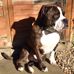 Martin Pickering - Facebook