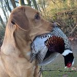 Martin Pickering - @pickering8078 - Instagram