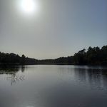 Martin Pickering - @martinpickering7 - Instagram