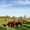 martinpigge5 - @martinpigge5 - TikTok