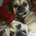 Martin Plank - Facebook