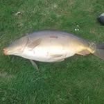 Martin Plank - @martin.plank.940 - Instagram