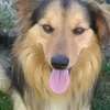 Martin Planka - @martin.planka - TikTok