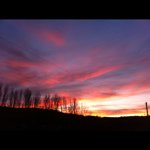 @martinplummer1959 - Instagram