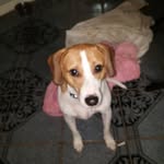 Martin Poff - @martin.poff.1 - Instagram