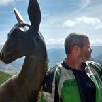 Martin Potter - @martin.potter.969 - Instagram