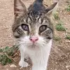 Martin Potter - @martin.potter3 - TikTok