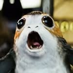 Martin Prokop - @prokop1655 - Instagram